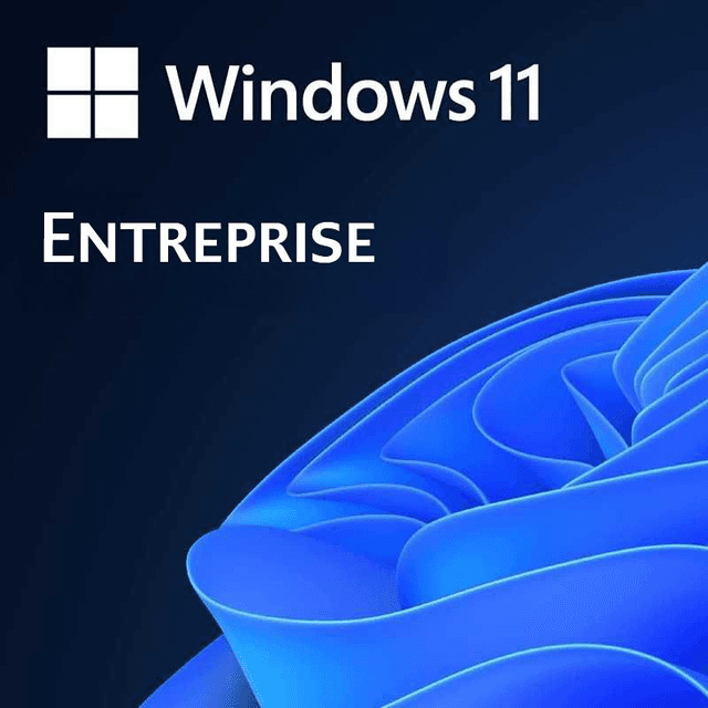 Licence Windows 11 Entreprise