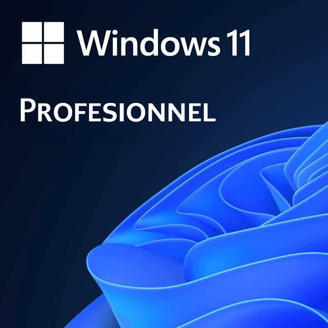 Licence Windows 11 Pro