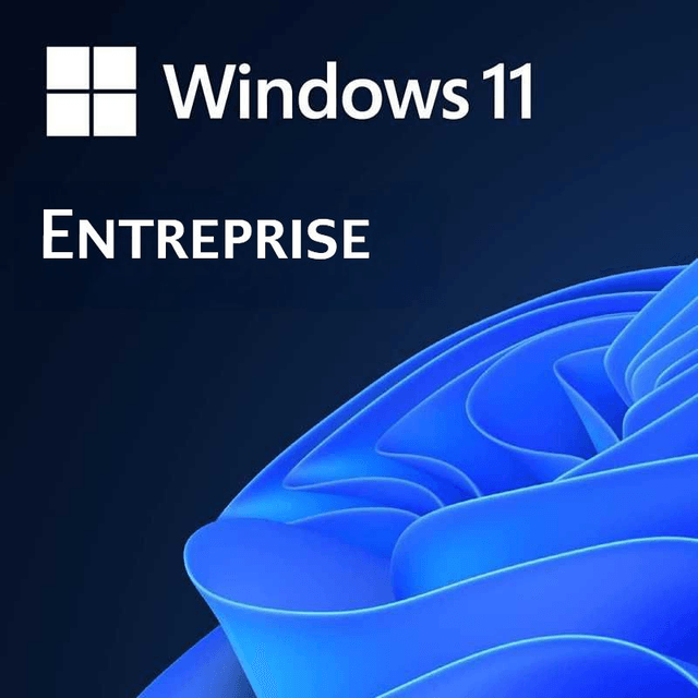 Licence Windows 11 Entreprise